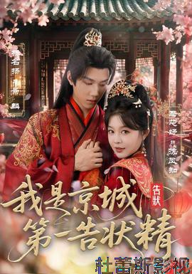 我是京城第一告状精详情介绍,无广告高清在线看新片，剧情解析带你快速入戏
