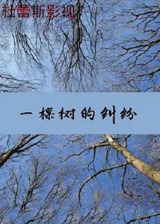 一棵树的纠纷详情介绍,必看新片推荐，高清在线播放，告别广告打扰，剧情超精彩