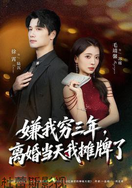 嫌我穷三年，离婚当天我摊牌了详情介绍,想追新片？高清在线看，无广告播放更流畅